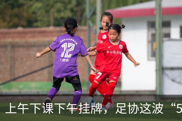 上午下课下午挂牌，足协这波“5天神速”，是在选帅还是在演戏？
