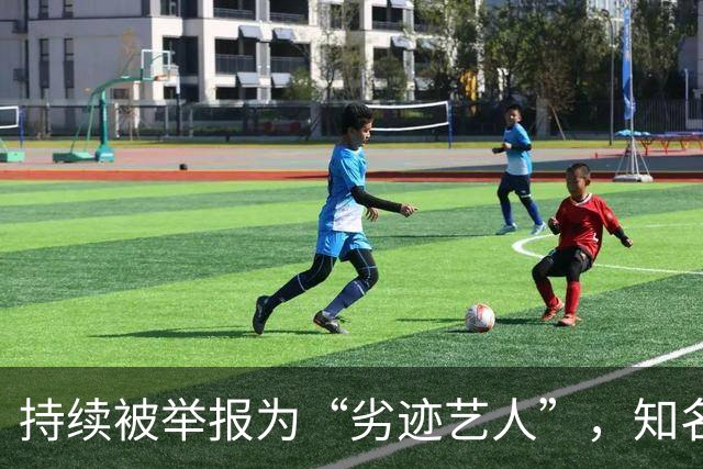 持续被举报为“劣迹艺人”，知名歌手回应