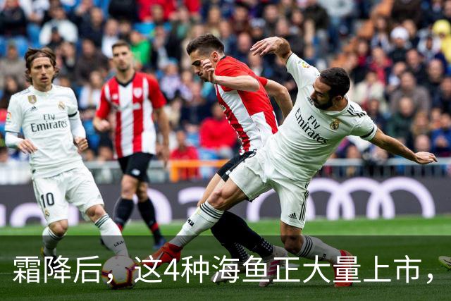 霜降后，这4种海鱼正大量上市，价格全年最低，大爷大妈抢着要